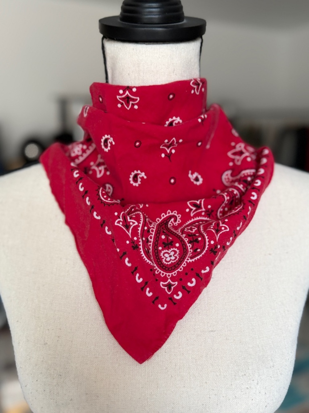 Vintage Red Paisley Bandana - MADE IN USA.